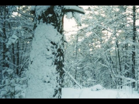 Full Audiobook: The Interlopers - Saki (H.H. Munro) - My Lector Series #17