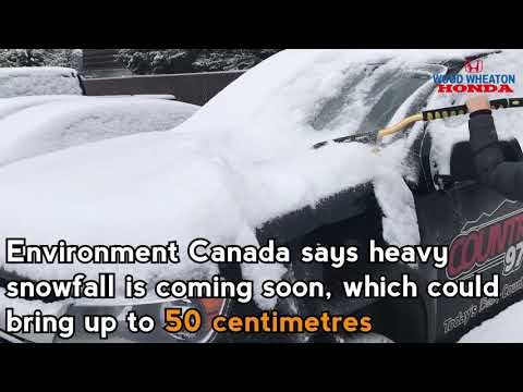 download lagu mp3 mp4 My Prince George Now, download lagu My Prince George Now gratis, unduh video klip My Prince George Now