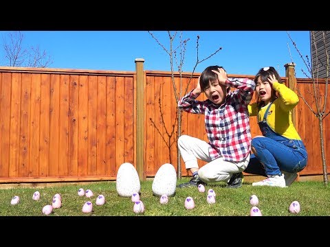 エッグハント!! 公園にタマゴがいっぱい!!