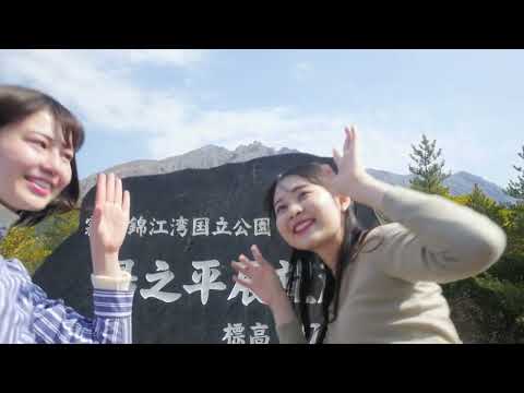 桜島たび　Sakurajima Trip