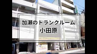 YouTube動画