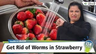 Get Rid of Worms in Strawberry