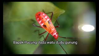 Download lagu Tembang Macapat Bapak Pocung mp3 Download lagu Tembang Macapat Bapak Pocung mp3