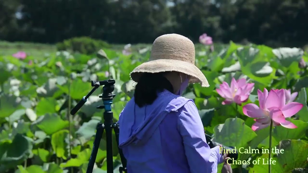 AI Meditation Music: Chanting and Mantras, ai meditation music chanting and mantras