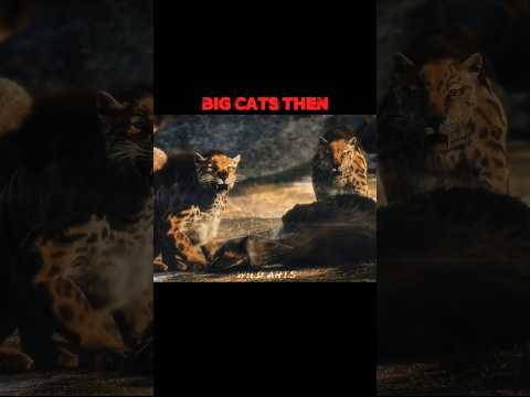 Modern Big Cats vs Prehistoric Giants 🦁🐯💀 #shorts