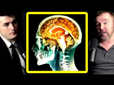 What UFO encounters teach us about the brain | Garry Nolan and Lex Fridman