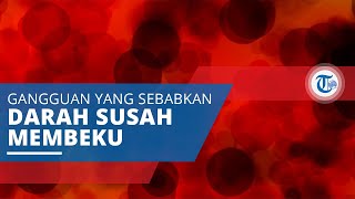 Gangguan Pembekuan Darah, Penyakit yang Sebabkan Darah Sulit Berhenti dan Susah Menggumpal