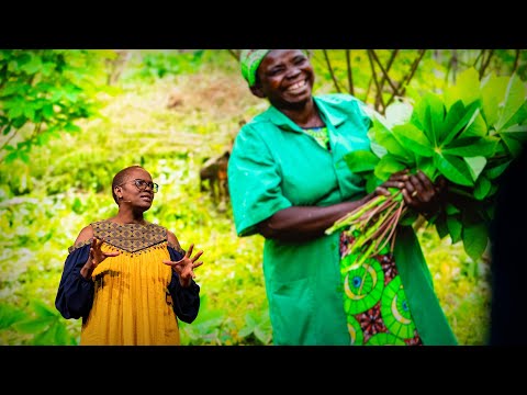 The Tree-Growing Movement Restoring Africa’s Vital Landscapes | Wanjira Mathai | TED