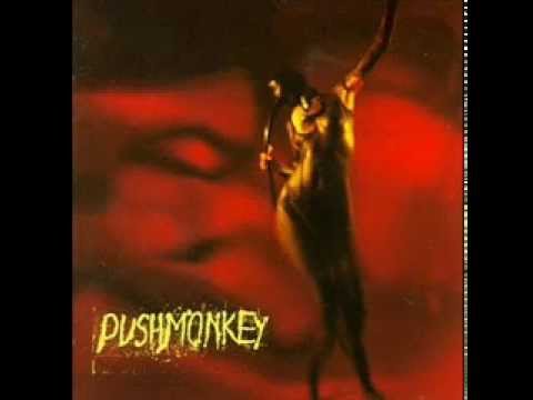 pushmonkey- Spider (lyrics)