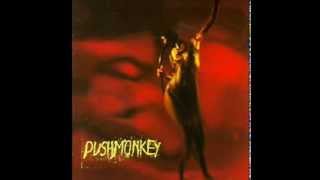 pushmonkey- Spider (lyrics)