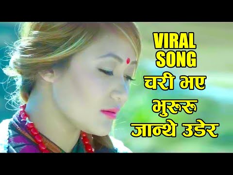 CHARI BHAYE BHURURU Babina Kiratee mathi mathi himali Bhegma , Tiktok Viral Song