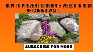 How to prevent weeds and erosion by planting succulent flowers in rock retaining wall
