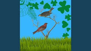 Download lagu Suara Burung Ciblek Kristal mp3