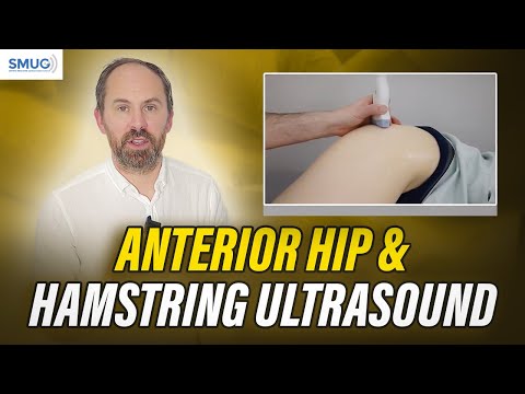 Anterior Hip & Hamstring Ultrasound: MSK Scanning Guide | SMUG UK