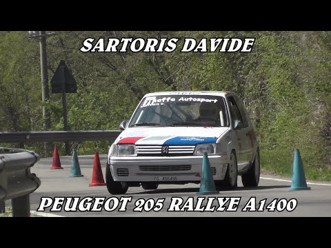 SLALOM MONTI LESSINI 2021 / SARTORIS DAVIDE / PEUGEOT 205 A1400