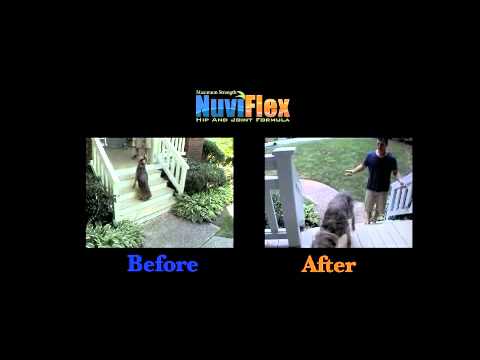 Nuviflex Dog Hip & Joint Formula Beef (150 tabs) Video