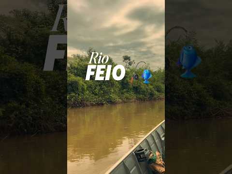 Pesca - Rio Feio (Aguapeí) - São João do Pau D’Alho - SP