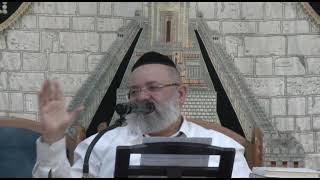 הרב ליאור  כחלון,פרשת וילך (הרב ליאור כחלון) - התמונה מוצגת ישירות מתוך אתר האינטרנט יוטיוב. זכויות היוצרים בתמונה שייכות ליוצרה. קישור קרדיט למקור התוכן נמצא בתוך דף הסרטון