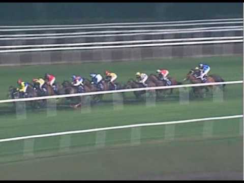 Singapore Guineas 2010 (Better Than Ever)