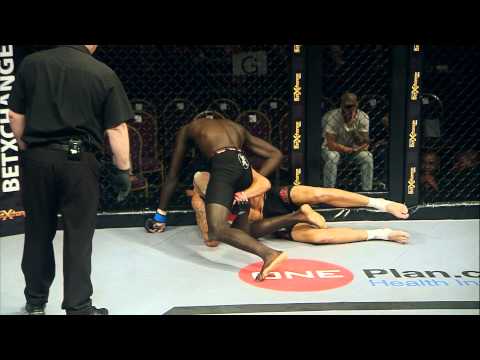 Best Submissions of 2014