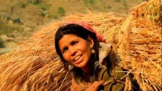 Farming in Guptakashi, Uttarakhand