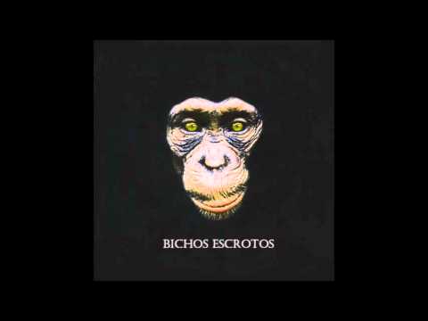 SÍMIOS - BICHOS ESCROTOS