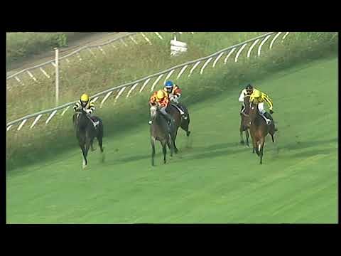 Napoli Galoppo 25/08/2021 - 1ª corsa