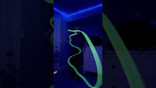 DNA with a Zip-String @ZipStringHQ  #trickcircle #yoyotricks #yoyo #yomega