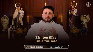 Daily Homily | Monday - Blessed Virgin Mary (Jn 19:25-34)