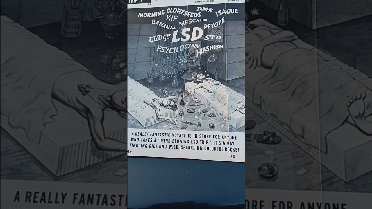 Psychedelic Trip - Mad Magazine Fold In Collection 1967 - Shorts