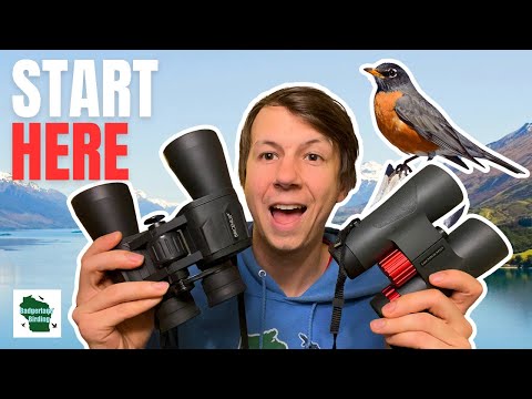 Birding 101: Mastering Binoculars for Beginners