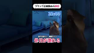 【猫ミーム】ブラック企業勤めの休日【実話】 #猫ミーム #猫マニ #catmemes #猫ミーム日常 #社畜 #shorts