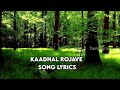 Kadhal Rojave Song Lyrics Arrahman
