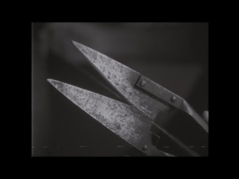 Fillas de Cassandra // V. AS MOIRAS (ft Nadie González, Xiana Teixeiro) - Vídeo Oficial