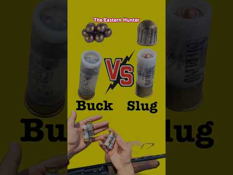 Slug vs Buckshot #review