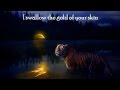Dax Johnson - Bright Eyes (Lyrics) 