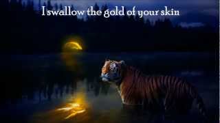 Dax Johnson - Bright Eyes (Lyrics)