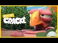 CRACKÉ - BARBWIRE | Cartoon Animation | Compilation