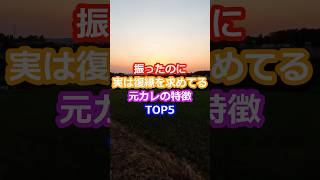 振ったのに実は復縁を求めてる元カレの特徴TOP5