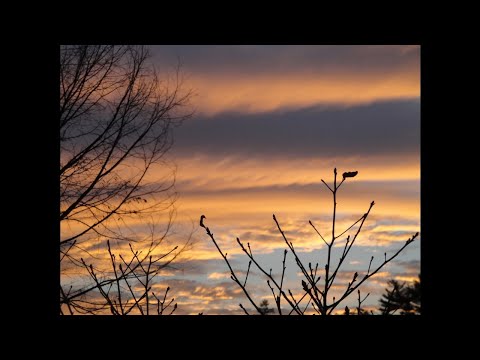 Panem de caelo-Chant-IC Choir Malden