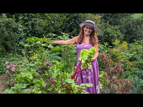 50 Jahre Gartenerfahrung: Elisabeets grüne Oase im September