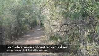 preview picture of video 'Road Trip Hyderabad to Tadoba Forest 2010'