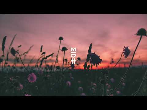 Lino Cannavacciuolo feat. Mario Bianco - Midnattssol (Original Mix) (MIDH Premiere)