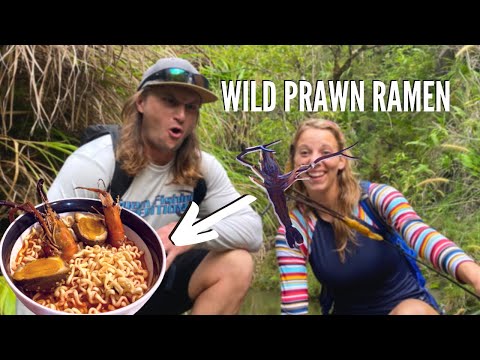 Vida em Guam - CAMARÃO FRESCO PARA RAMEN