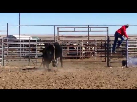 Bottoms Up Practice | 2/28/16