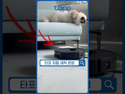 비싼 로청기 대신 이거 구매하세요. | Tapo RV50 Pro Omni