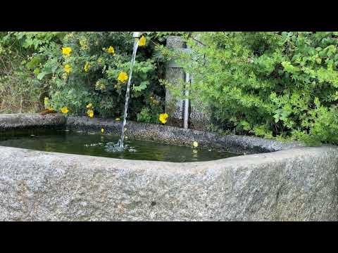 FLAT LIKE WATER, Water never lies, People lie