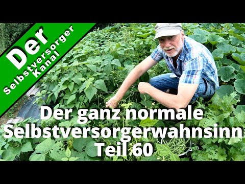 The normal self-sufficiency madness part 60