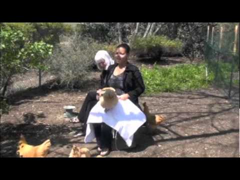 Kimberley Locke TV - Ep 1 The Chicken Lady