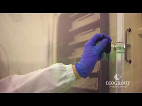 Sao, Officine Naturali, Biogroup - Dalla pianta alla persona